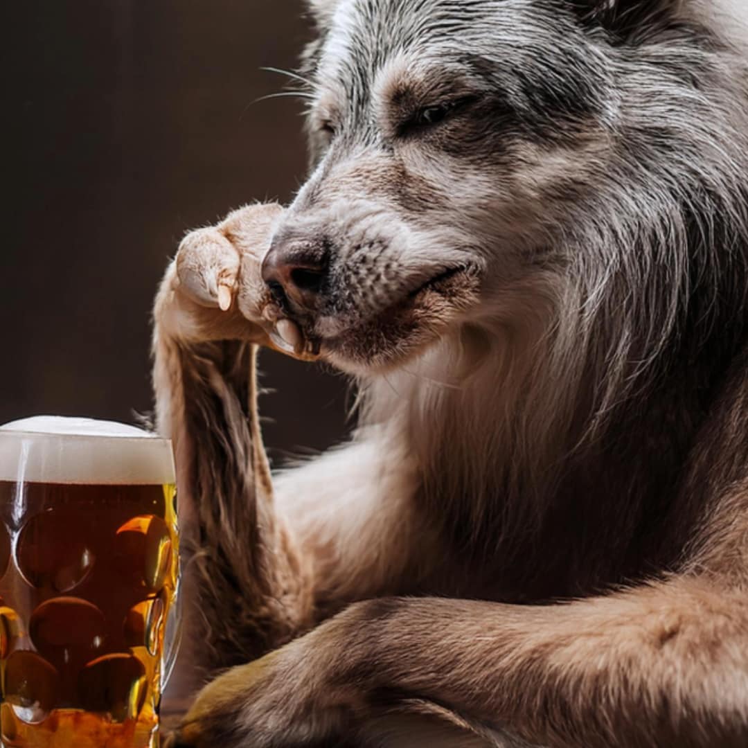 title image for Carole Kelly's story "Hello, My Name is John and I'm an Alcoholic Werewolf"